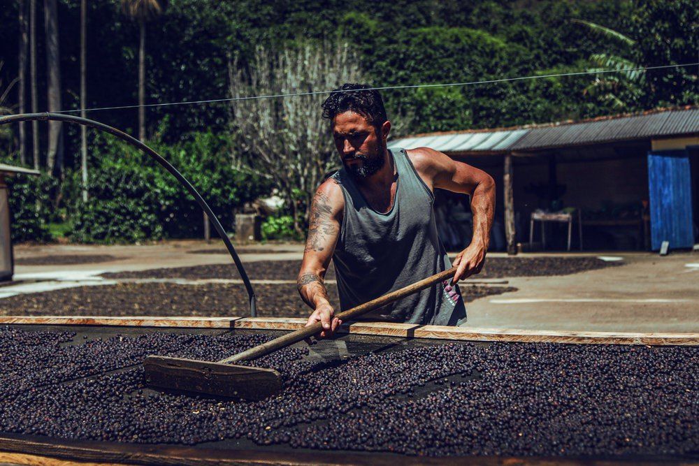 História do Produtor Clayton Barrossa: O surfista do café 🏄🏽‍♂☕